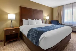 Comfort Inn & Suites Alameda at Albuquerque Balloon Fiesta Park - Chambre