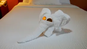 Quality Inn Fayetteville near Fort Bragg - Chambre