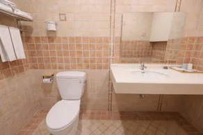 161 Easy Inn - Bathroom