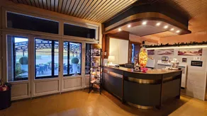 HOTEL AI TIGLI - Reception