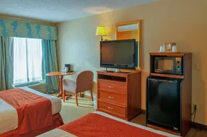 Hotel M Mount Pocono - Vue de la chambre