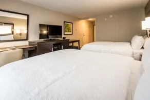 Hampton Inn & Suites Hammond - Chambre
