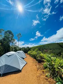 TENT LIFE - Varie