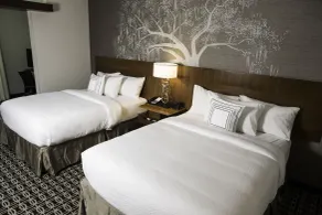 Fairfield Inn & Suites by Marriott Savannah Midtown - Vue de la chambre