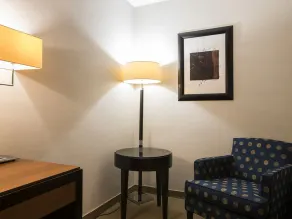 FlyOn Hotel & Conference Center - Room