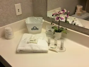 Days Inn by Wyndham Ottawa Airport - Salle de bain