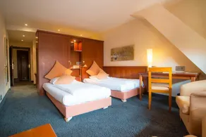 Zum Roten Bären - Room