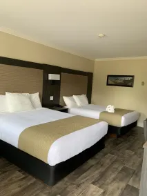 Cairns Motel - Chambre