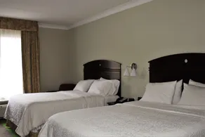 Hampton Inn Americus - Værelse
