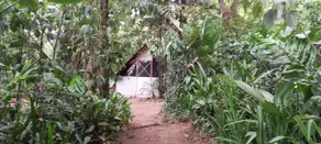 Costa Rica Glamping - Værelse