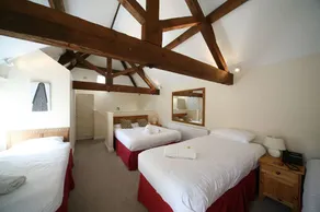 The Dewdrop Inn - Room