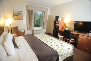 Sleep Inn Paseo Las Damas - Room