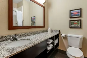 Comfort Inn Shelbyville North - Baño