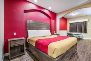 Econo Lodge Inn & Suites Horn Lake - Southhaven - Chambre