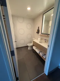 Tru By Hilton West Bristol Tn - Bathroom