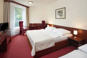 Wellness Hotel Svornost - Room