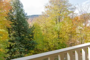 Vantage Point Villas at Stratton Mountain Resort - Ausblick vom Zimmer