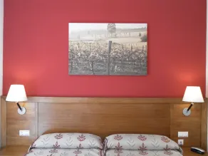 Hotel Milagros Rio Riaza - Room