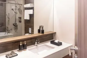 Metropolis Suites Bangkok, Tapestry Collection by Hilton - Banheiro