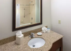 Hampton Inn & Suites Colorado Springs/I-25 South - Salle de bain