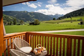 Bauernhofhotel "die Unterbergerin" - Zimmer mit Frühstück und Ferienwohnungen in Gastein mit GRATIS Thermeneintritt - View from room
