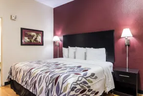 Red Roof Inn Atlanta - Kennesaw State University - Zimmer