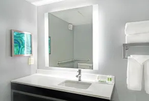 Holiday Inn - Memphis Downtown - Beale St. by IHG - Badezimmer