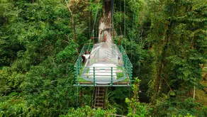 Green Jungle House - Room