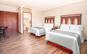 Hotel Alcazar - Guadalajara Centro Historico - Chambre