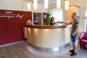 Hotel Nürnberger Hof - Receção
