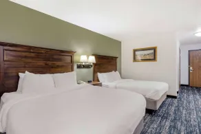 Comfort Inn & Suites Mt Rushmore - Chambre