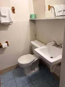 PARK INN - Bathroom