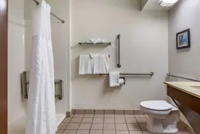 Comfort Inn Okemos - East Lansing - Salle de bain