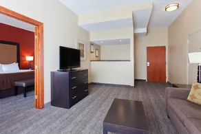 Holiday Inn Shreveport Downtown by IHG - Chambre