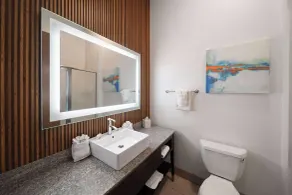 La Quinta by Wyndham Austin NW/Lakeline Mall - Badeværelse