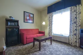 Hampton Inn Greenville - Habitación