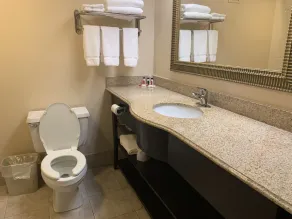 Comfort Inn & Suites - Salle de bain