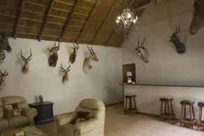 Thabaledi Game Lodge - Reception