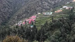 Apple Orchard Resort - Utsikt fra rommet