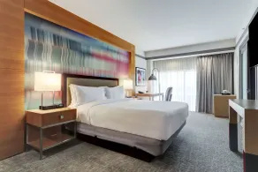 Hilton University of Houston - Chambre