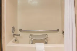 Quality Inn & Suites Detroit Metro Airport - Chambre
