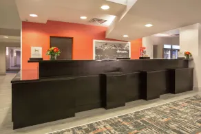 Hampton Inn & Suites Denver-Downtown - Reception