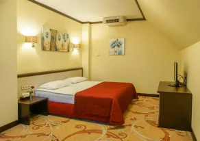 Park-Hotel Golosievo - Room