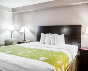Econo Lodge Birmingham - Hoover - Chambre