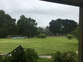 Neerim Country Cottages - View from room