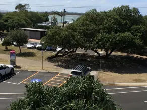 The Dunes Cotton Tree - View from room