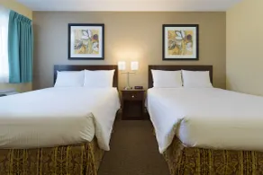 Siesta Suites - Chambre