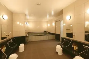Hotel Alpha-One Tsuruga Bypass - Bain public