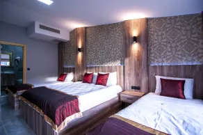 Vali Konak Hotel Nişantaşı - Room