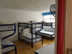 Hostel Vallarta - Room